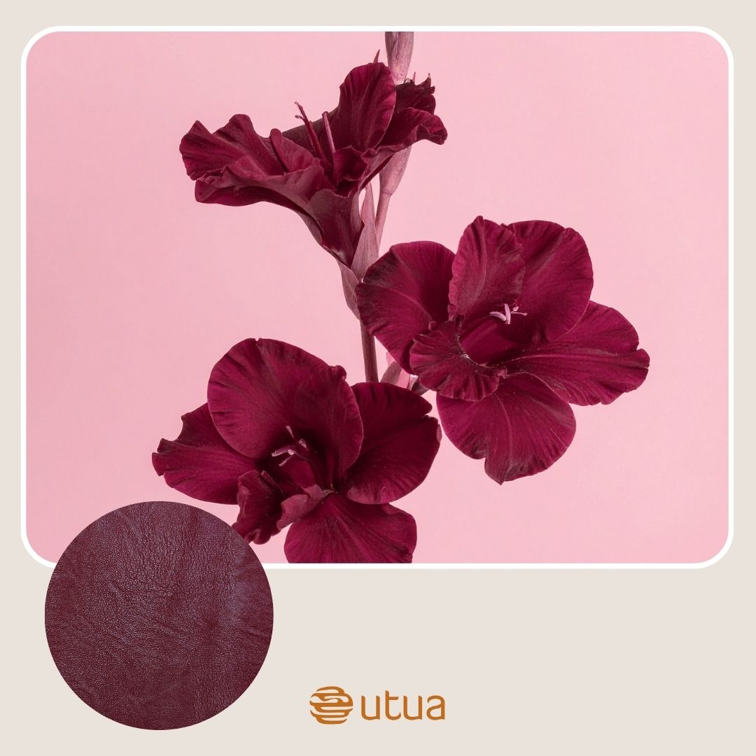 utuan_varikartat_bordeaux_kuva